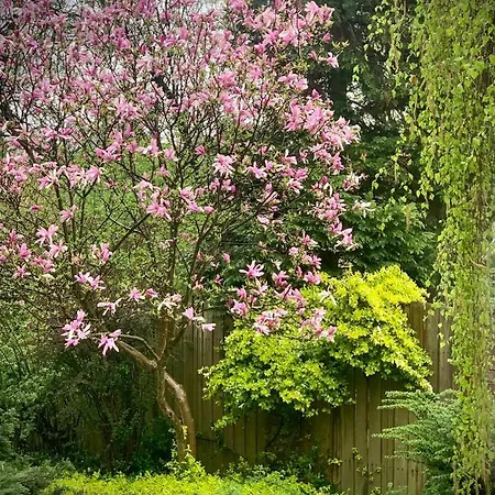 Ξενοδοχείο με διαμερίσματα Aparthotel Studio Krasków