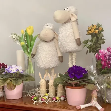 Aparthotel Studio Ξενοδοχείο με διαμερίσματα 4*