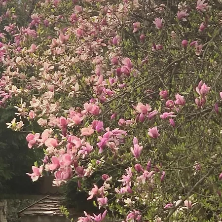 Aparthotel Studio Hotel apartamentowy 4*