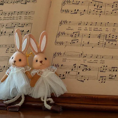 Aparthotel Studio 4*