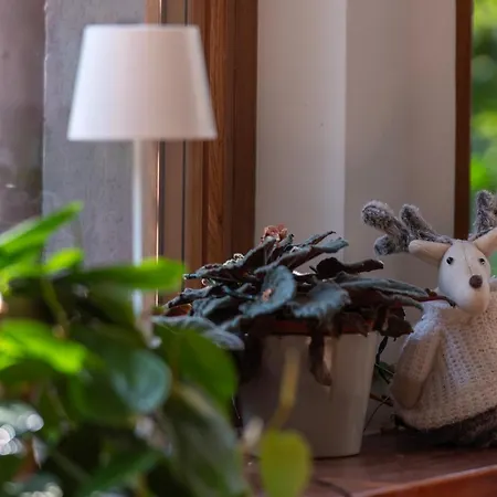 Aparthotel Studio Hotel apartamentowy