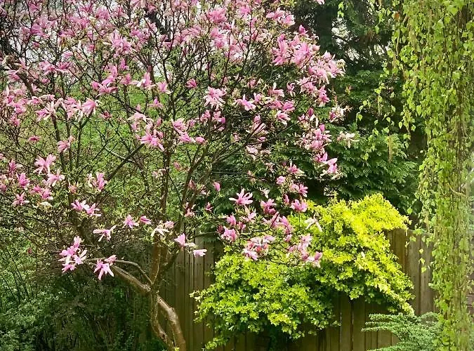 아파트호텔 Aparthotel Studio 크라쿠프