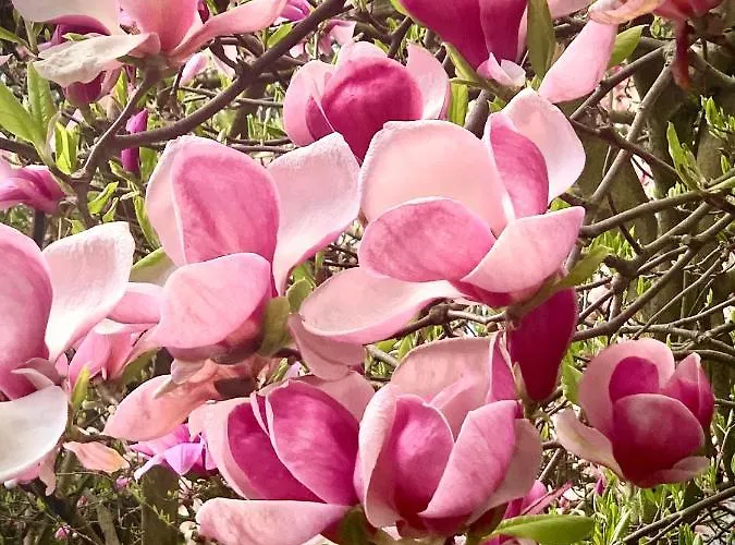 Aparthotel Studio 크라쿠프