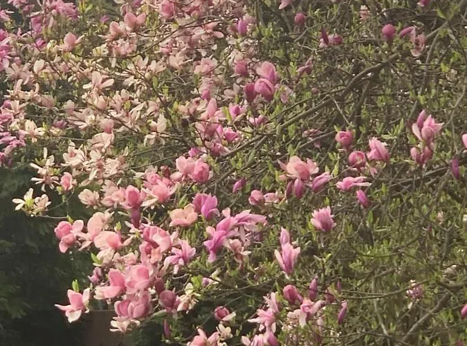 Aparthotel Studio 아파트호텔 4*